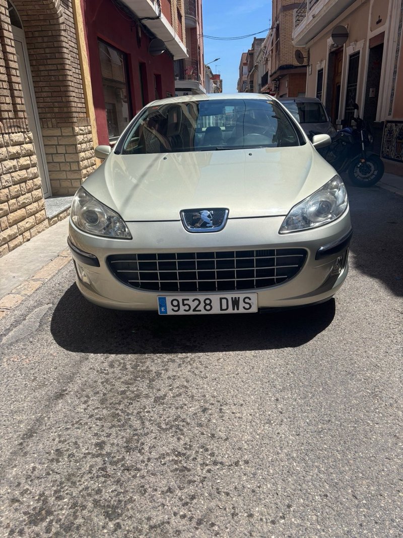 Peugeot 407 2005 - foto 1