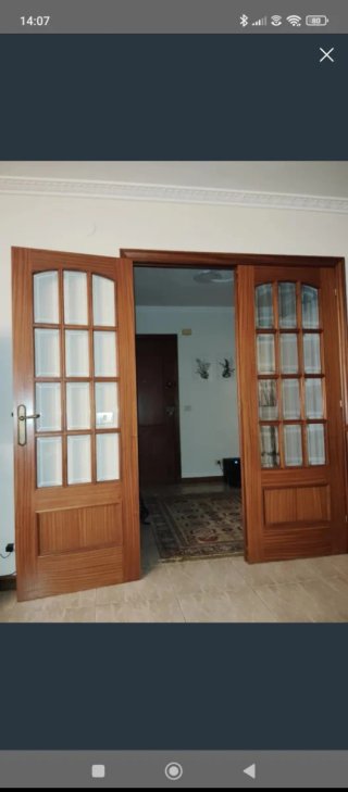 Pareja de puertas de madera con cristal