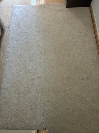 Alfombra Ikea Stoense (120x180)