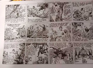 TARZAN, EL HOMBRE MONO, COLECCION EN ESTUCHE