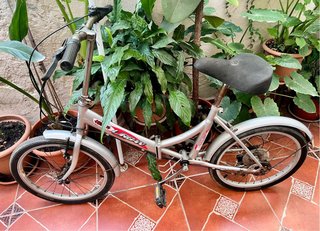 Bicicleta Plegable Urbana Plata