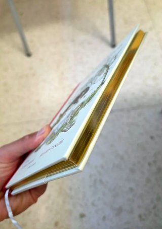 Dos Libros ALICIA  EDICIÓN COLECCIONISTA 1990