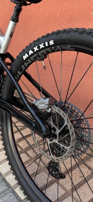 Mondraker Crafty Carbon rr 2026