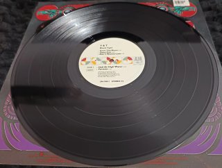 Vinilo de Y&T álbum  "Black Tiger"