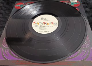 Vinilo de Y&T álbum  "Black Tiger"