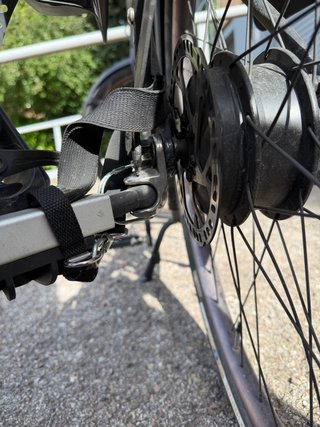 Remolque bici Thule Coaster XT