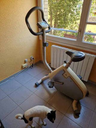Bicicleta Estática DOMYOS