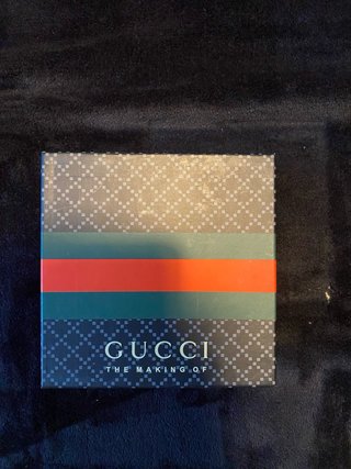 Cinturón Gucci Gris y Negro