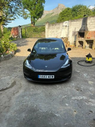 Tesla Model 3 2019