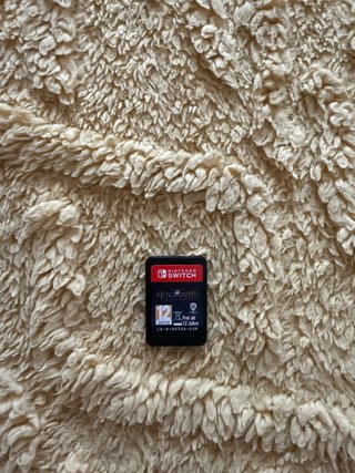 Hogwarts Legacy Nintendo Switch