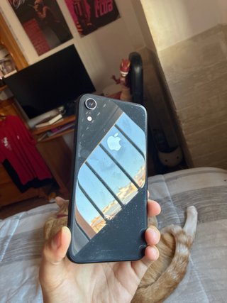 iPhone XR Apple Nero