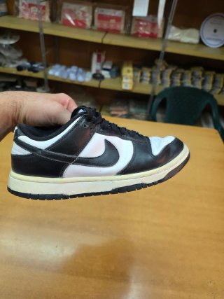 Nike Air Dunk Donna Scarpe da Ginnastica