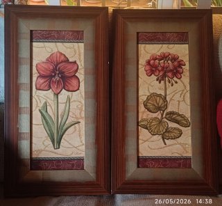 Juego de 2 cuadros decorativos florales