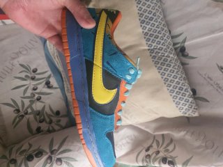 Nike Dunk Low Pro SB Skate Or Die