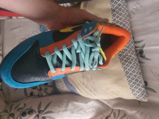 Nike Dunk Low Pro SB Skate Or Die