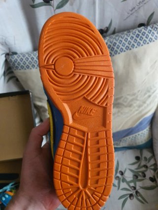 Nike Dunk Low Pro SB Skate Or Die