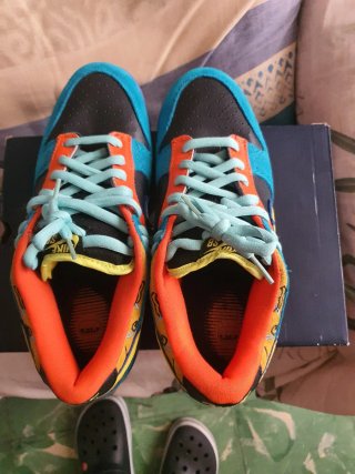 Nike Dunk Low Pro SB Skate Or Die