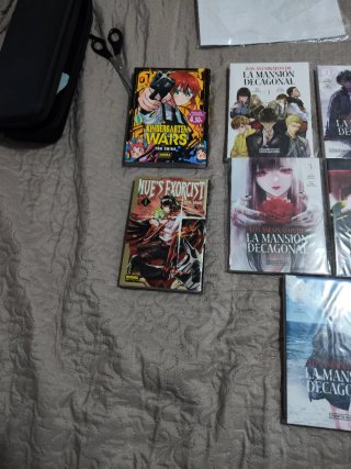 Lote manga