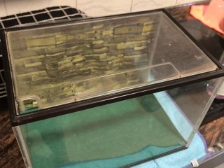Acuario de plástico transparente