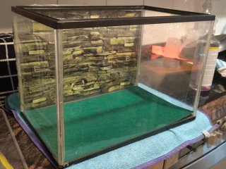 Acuario de plástico transparente