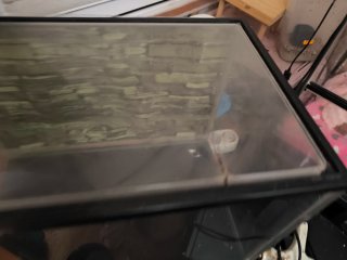 Acuario de plástico transparente