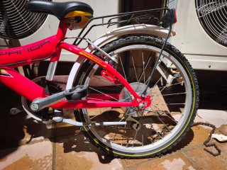Bici Niños 20"