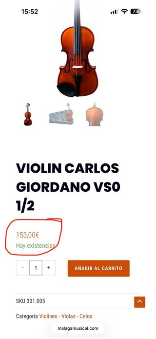 Violín Carlo Giordano VS-0 1/2