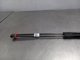 AMORTIGUADORES MALETERO / PORTON NISSAN JUKE (F15