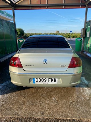 Peugeot 407 2007