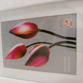 4 Quadri Decorativi: Fiori e Infantili