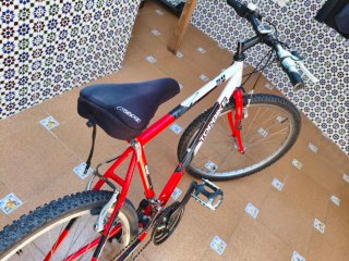 Bicicleta Montaña Topbike 21 Velocidades