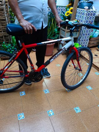 Bicicleta Montaña Topbike 21 Velocidades