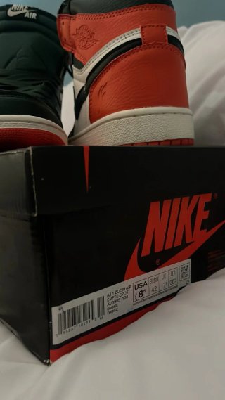 Nike Air Jordan 1 Solefly Art Basel
