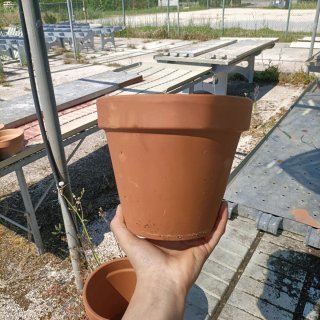 Set 2 Vasi Terracotta Diametro 19cm