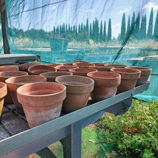 Set 10 Vasi Terracotta Diametro 13cm