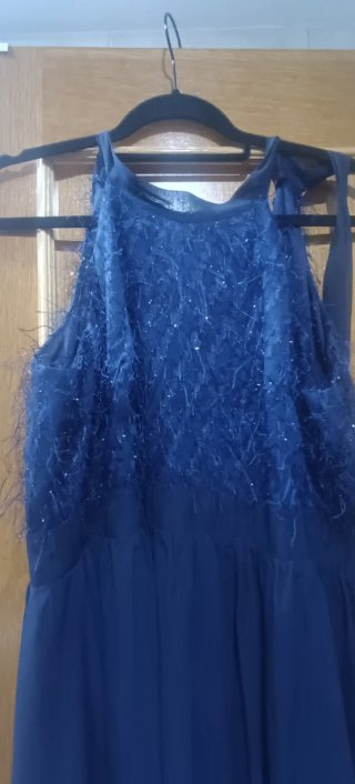 Vestido azul con pedrería y plumas
