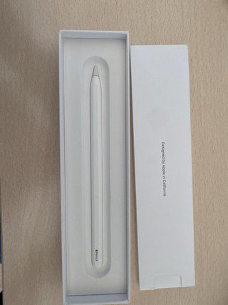 Apple Pencil 2ª Gen