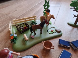 Lote Playmobil Camping y Paseo