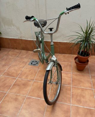 Bicicleta plegable verde