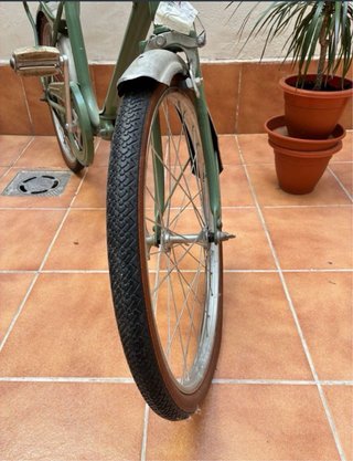 Bicicleta plegable verde