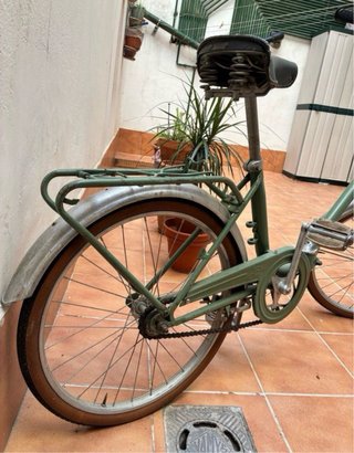 Bicicleta plegable verde