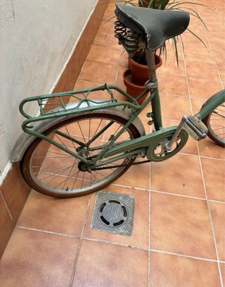 Bicicleta plegable verde