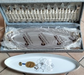 Vendo servizio NUOVO della Giorinox.