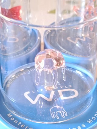 Bicchieri WD Lifestyle Vetro Borosilicato