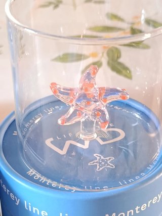Bicchieri WD Lifestyle Vetro Borosilicato