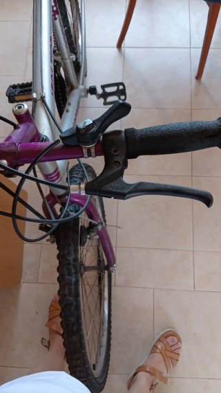 Bicicleta STRONGMAN IMAX TEAM 2000