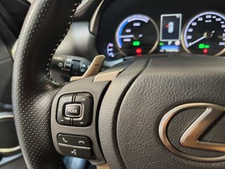 Lexus NX F Sport