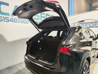Lexus NX F Sport