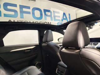 Lexus NX F Sport
