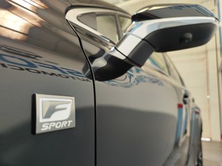 Lexus NX F Sport